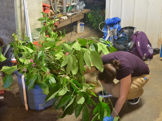 Student with tree