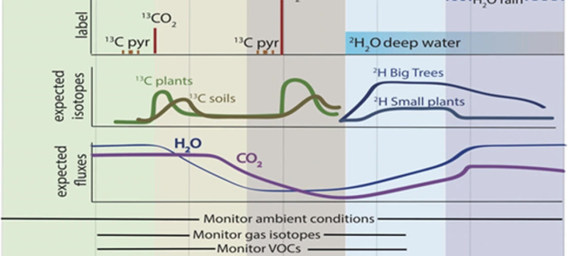 WALD graph
