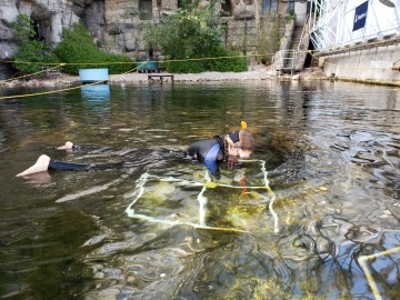Student swimming in Biosphere 2 Ocean